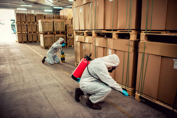 Best Affordable Pest Control Services  in Oxoboxo River, CT