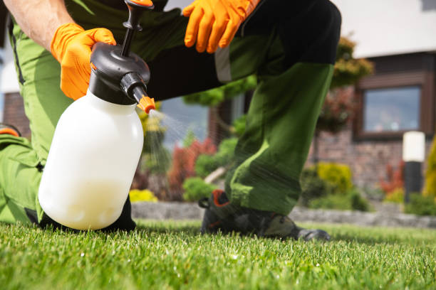 Best Pest Removal Services  in Oxoboxo River, CT