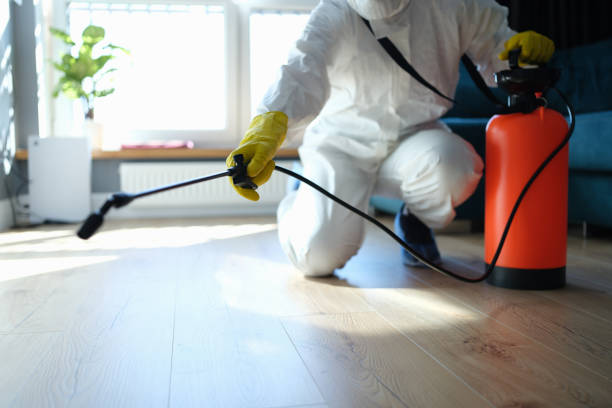 Best Pest Control for Restaurants  in Oxoboxo River, CT
