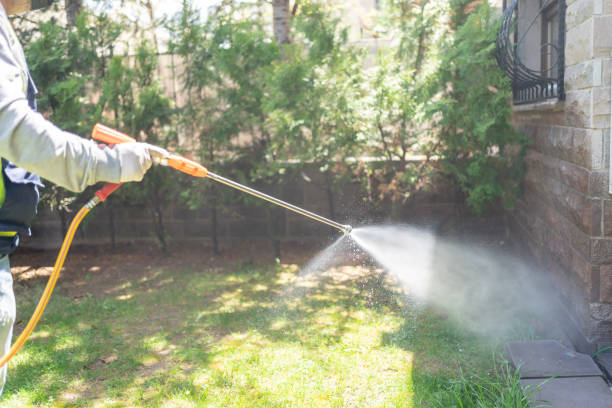 Best Rat Extermination Near Me  in Oxoboxo River, CT