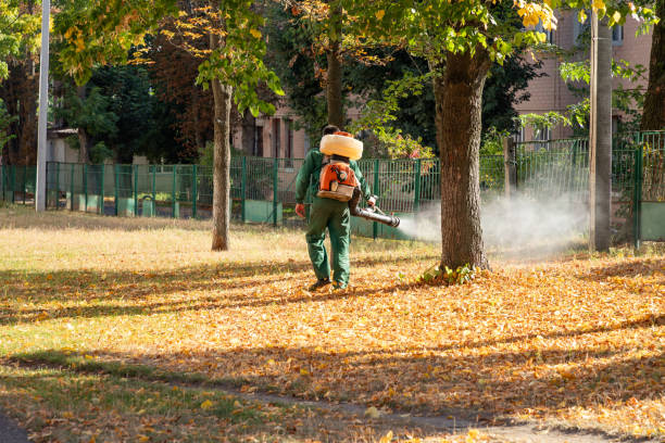 Best Mosquito Control Services  in Oxoboxo River, CT