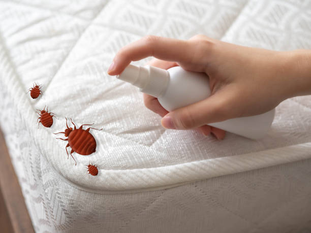Pest Control for Restaurants in Oxoboxo River, CT