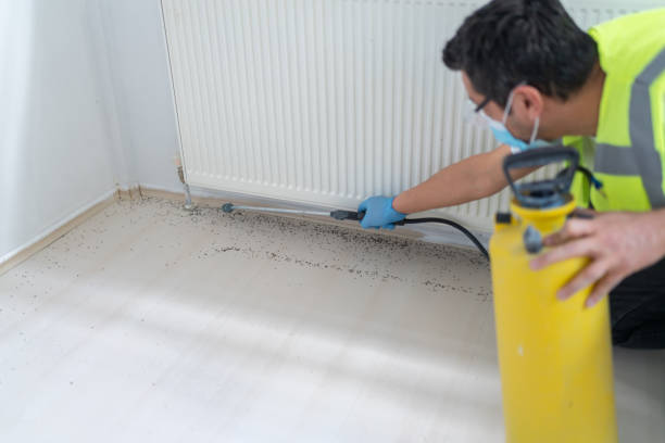 Best Local Pest Control Services  in Oxoboxo River, CT