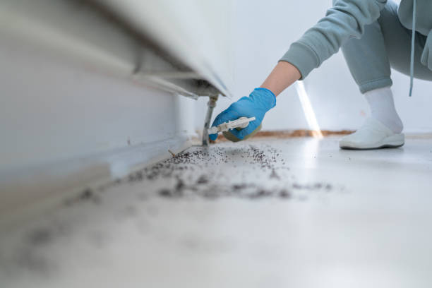 Best Wildlife Control Services  in Oxoboxo River, CT