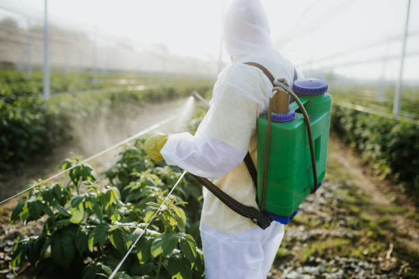 Best Pest Prevention Services  in Oxoboxo River, CT